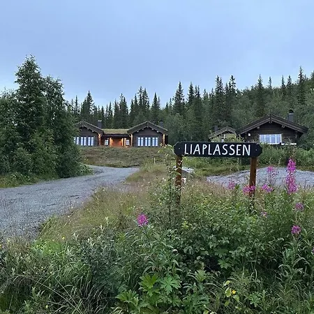 Liaplassen Mountain Chalet - Beitostolen Exterior photo