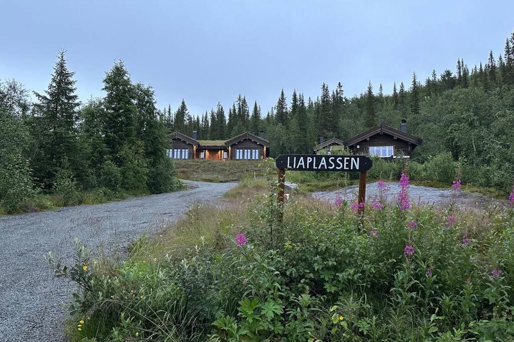 Liaplassen Mountain - Holiday home Beitostolen
